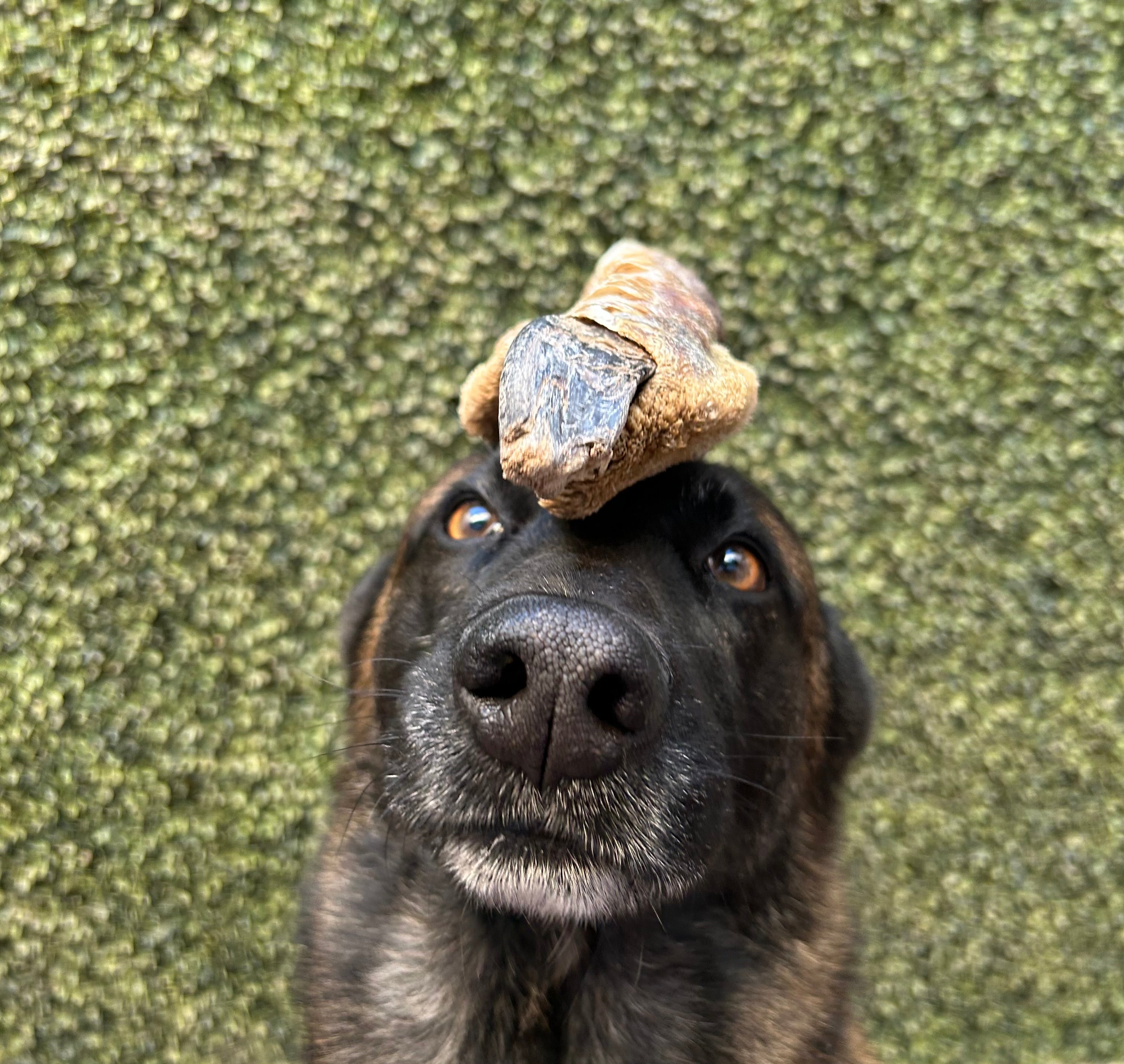 Ostrich Foot