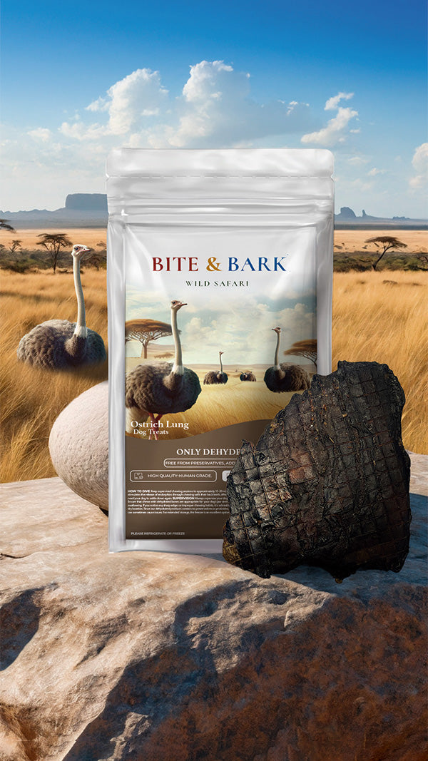 Safari Collection – Limited Edition