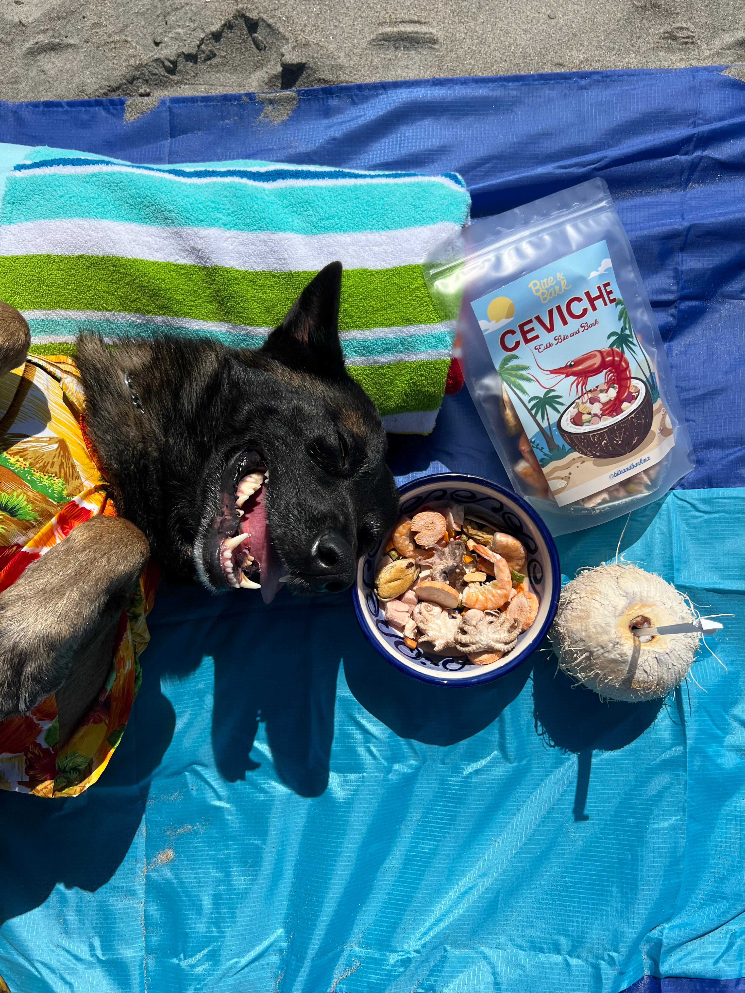 Ceviche - Bite & Bark Summer Collection