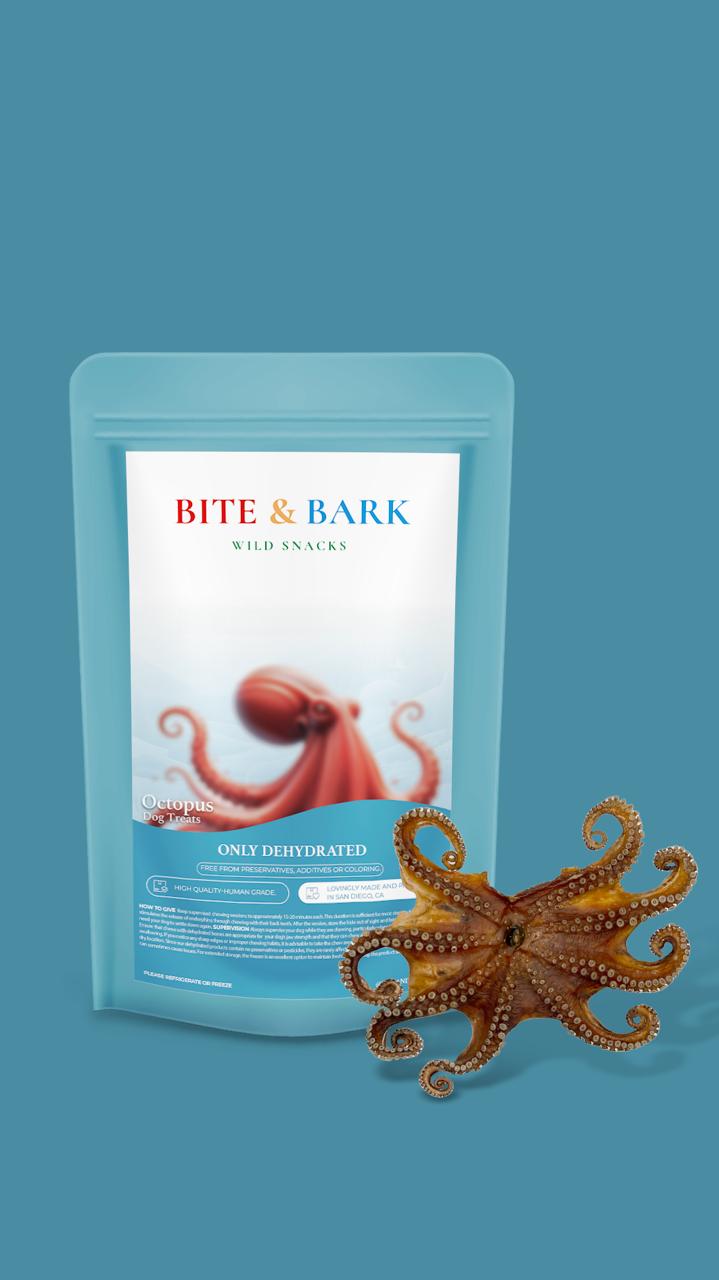 Octopus