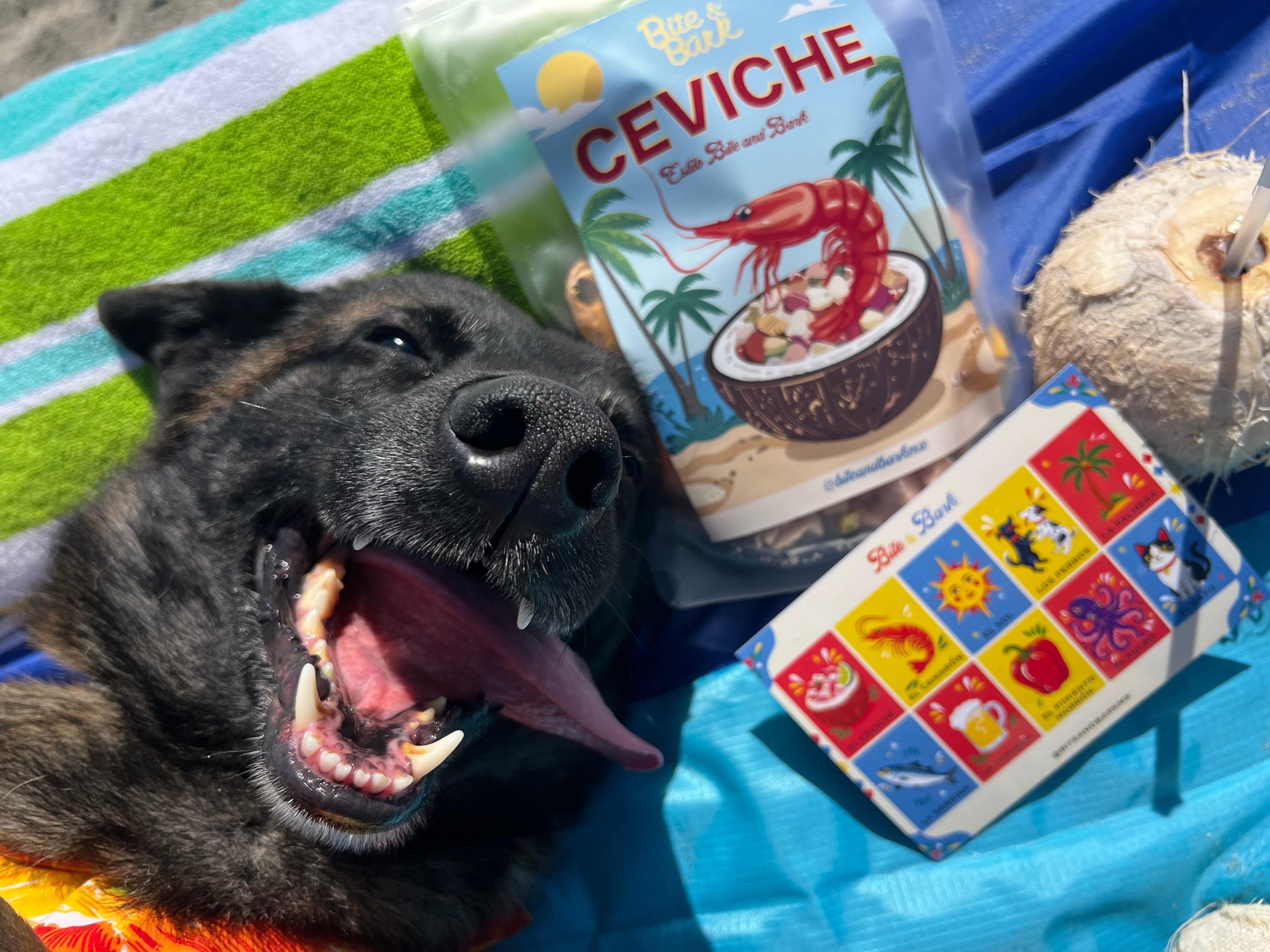 Ceviche - Bite & Bark Summer Collection