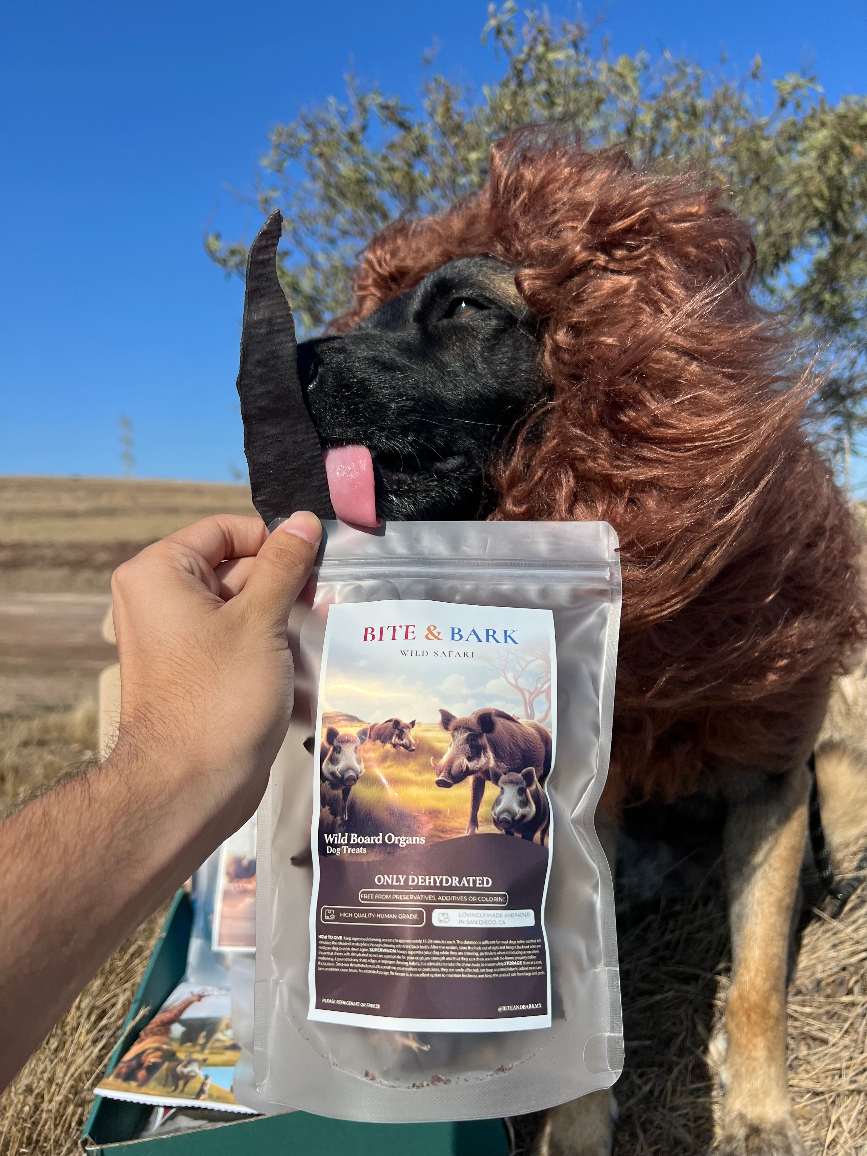 Safari Collection – Limited Edition