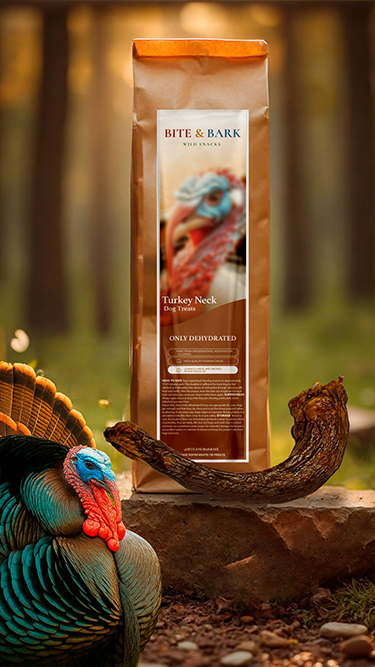 Large Turkey Neck