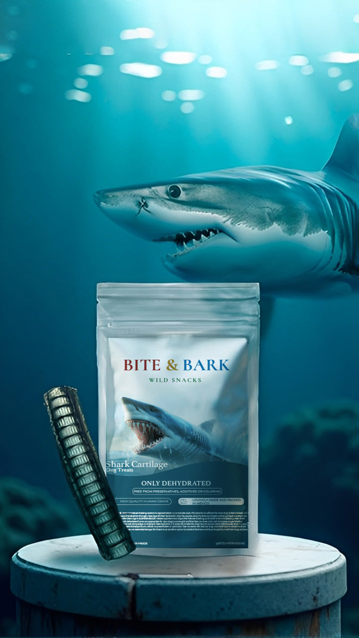 Shark Cartilage